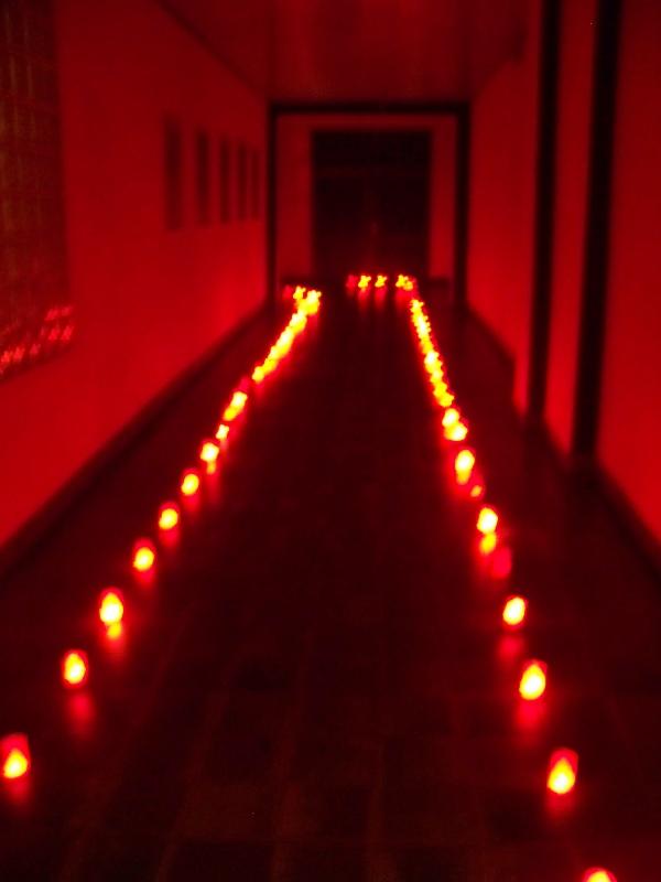 2010-10-31Halloween 006